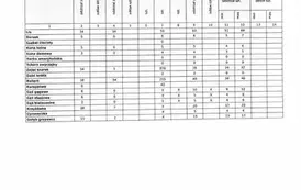 ssS203_C450i26042014070-obrazy-3