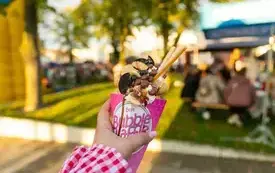 20260829-IMG_5811