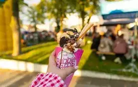 20260829-IMG_5811