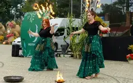 20260913-IMG_6528