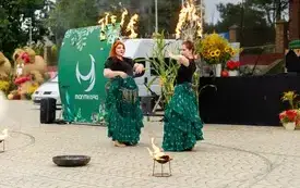 20260913-IMG_6524