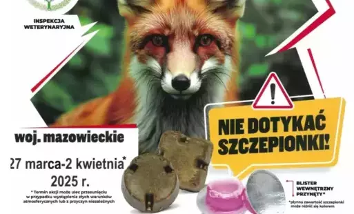 Zdjęcie do Uwaga! Trwają szczepienia lis&oacute;w!