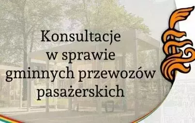 Konsultacje
