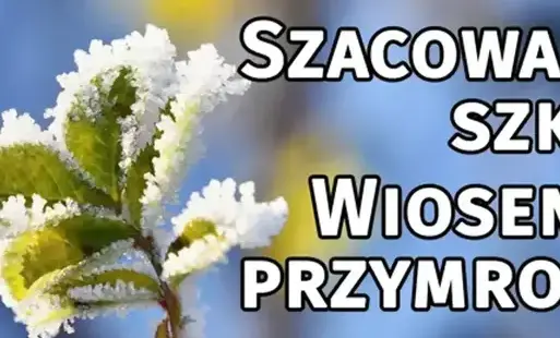 Zdjęcie do Przymrozki wiosenne - zł&oacute;ż wniosek o oszacowanie strat