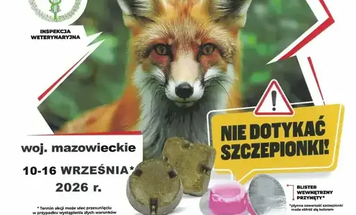 Zdjęcie do Szczepienia lis&oacute;w wolno żyjących